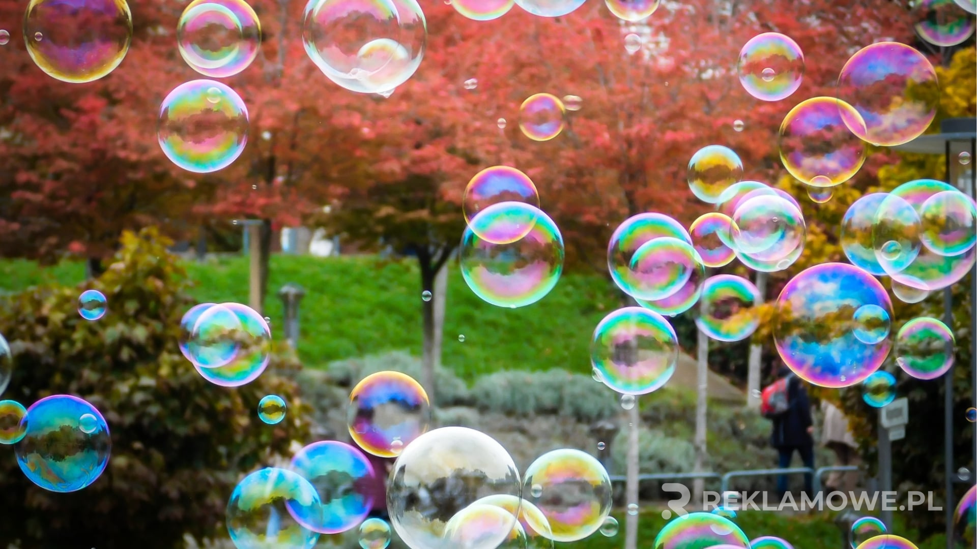 Baner reklamowy w branży turystycznej